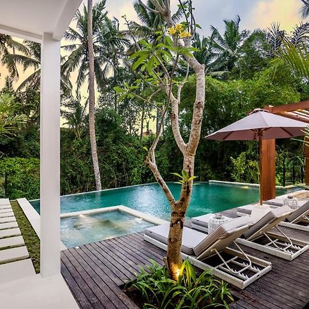 Villa Oasis By Balisuperhost Убуд Екстер'єр фото
